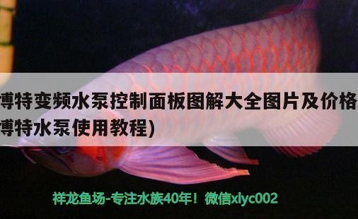 博特變頻水泵控制面板圖解大全圖片及價格(博特水泵使用教程)