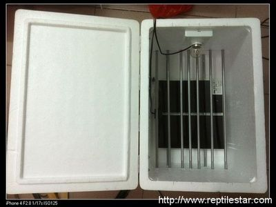 10元自制泡沫盒孵化箱：10元制作自制泡沫盒孵化箱孵化箱的信息需要注意以下幾點