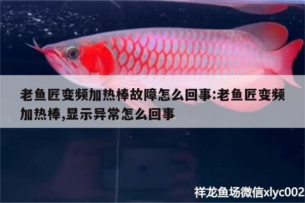 老魚匠變頻加熱棒故障怎么回事:老魚匠變頻加熱棒,顯示異常怎么回事