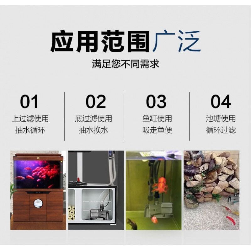 佳璐與森森關系