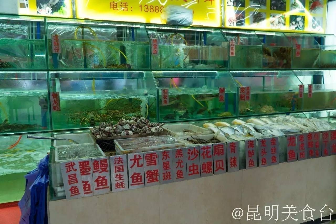 昆明龍魚vs祥龍魚場（探討昆明龍魚與祥龍魚場之間的差異之前，我們需要明確的搜索結果）