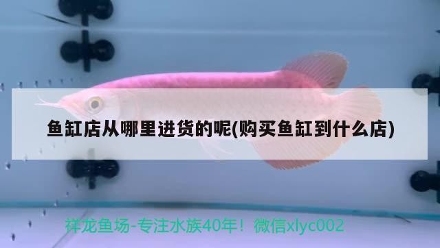 魚缸店從哪里進貨的呢(購買魚缸到什么店) 魚缸店從哪里進貨的呢(購買魚缸到什么店) iwish愛唯希品牌魚缸
