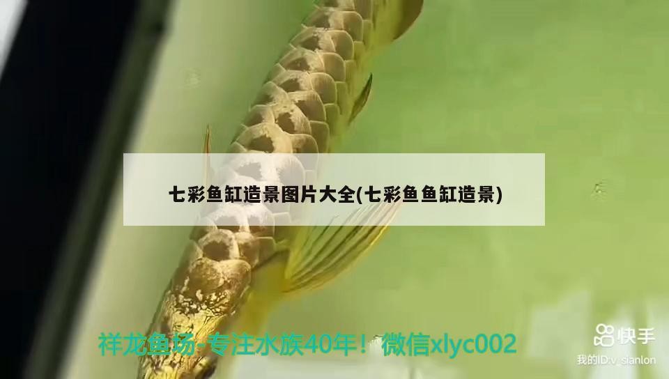 即墨市泰源英子漁具店
