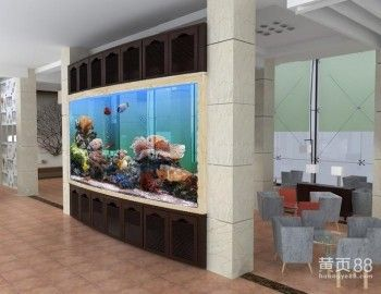 六盤水龍魚vs祥龍魚場（祥龍魚場和六盤水龍魚哪個好）