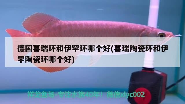 德國喜瑞環和伊罕環哪個好(喜瑞陶瓷環和伊罕陶瓷環哪個好)
