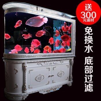 1米的魚缸大約多少錢一個：1米左右的魚缸價格可以根據不同的需求和預算有所變化 1米的魚缸大約多少錢一個：1米左右的魚缸價格可以根據不同的需求和預算有所變化 魚缸百科 第3張