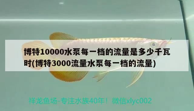 博特10000水泵每一檔的流量是多少千瓦時(博特3000流量水泵每一檔的流量)