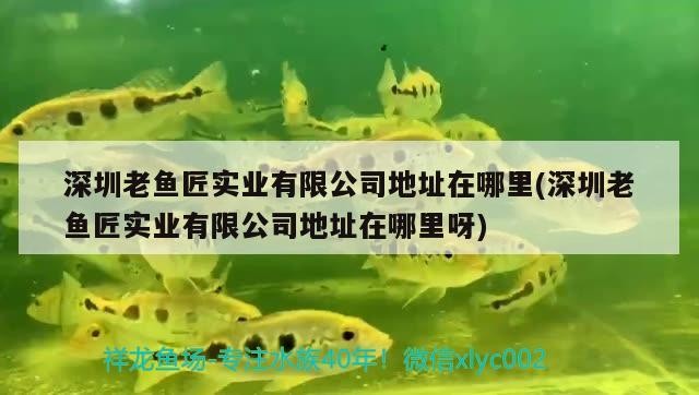 <strong><mark>深圳</mark></strong>老魚匠實業有限公司地址在哪里(<strong><mark>深圳</mark></strong>老魚匠實業有限公司地址在哪里呀)