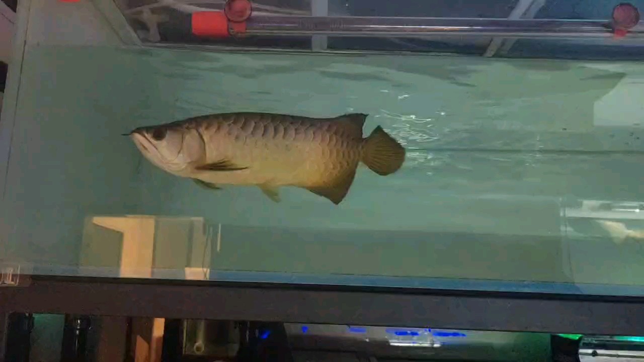 搬倉庫寄養一段時間