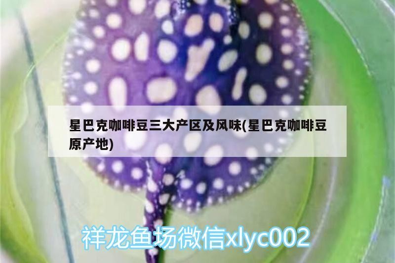 星巴克咖啡豆三大產區及風味(星巴克咖啡豆原產地)