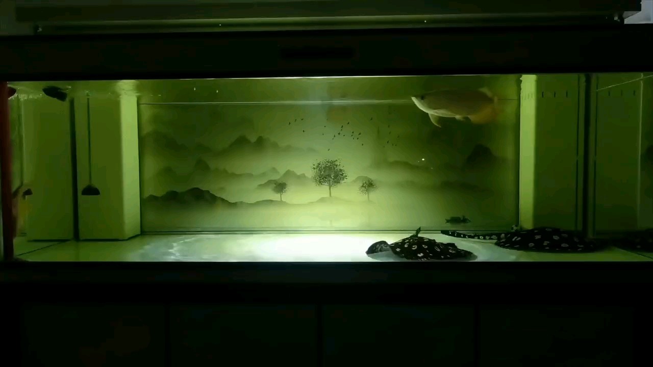 回家的路，是最美的風(fēng)景。