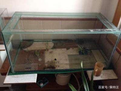 1米的魚缸用多厚的玻璃膠好：魚缸玻璃膠360問答[需手動填充]魚缸玻璃膠360問答 1米的魚缸用多厚的玻璃膠好：魚缸玻璃膠360問答[需手動填充]魚缸玻璃膠360問答 魚缸百科 第3張