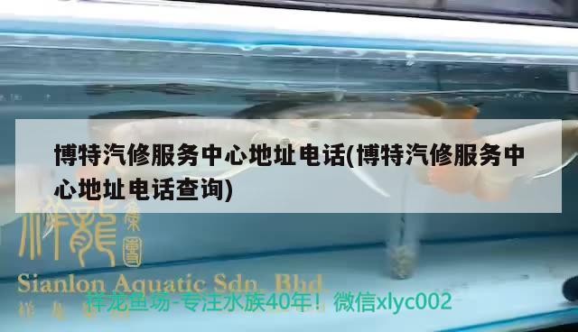 博特汽修服務中心地址電話(博特汽修服務中心地址電話查詢)