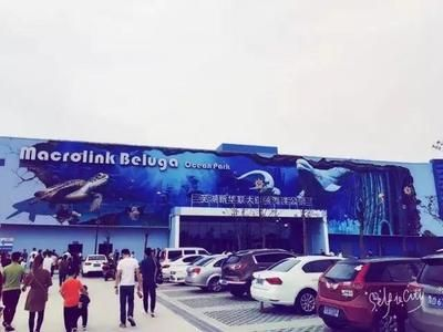 蕪湖水族館vs祥龍魚場（蕪湖水族館與祥龍魚場的區別） 蕪湖水族館vs祥龍魚場（蕪湖水族館與祥龍魚場的區別） 全國水族館企業名錄 第3張
