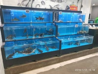 超市魚缸的設計制作：海鮮池設計制作的流程