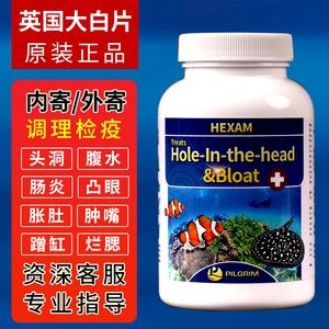魟魚外寄用什么藥：魟魚外寄用什么藥治療和生活習慣調整以下是具體的治療方法 魟魚外寄用什么藥：魟魚外寄用什么藥治療和生活習慣調整以下是具體的治療方法 魟魚百科 第1張