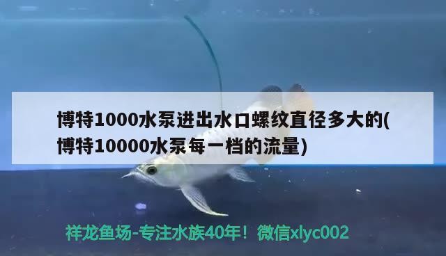 博特1000水泵進出水口螺紋直徑多大的(博特10000水泵每一檔的流量)