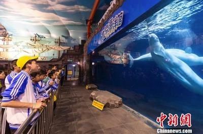 呂梁水族館vs祥龍魚場（呂梁水族館與祥龍魚場的區別） 呂梁水族館vs祥龍魚場（呂梁水族館與祥龍魚場的區別） 全國水族館企業名錄 第2張
