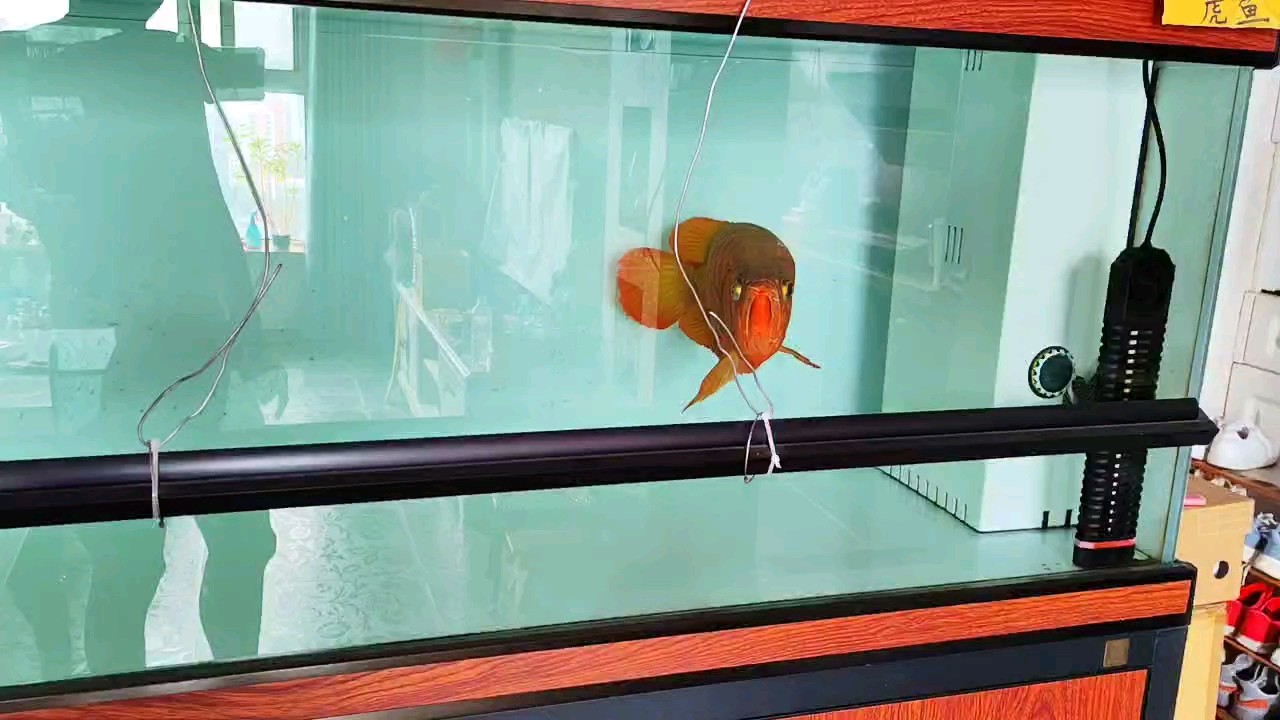 無燈