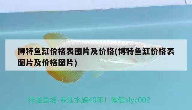 博特魚缸價格表圖片及價格(博特魚缸價格表圖片及價格圖片)