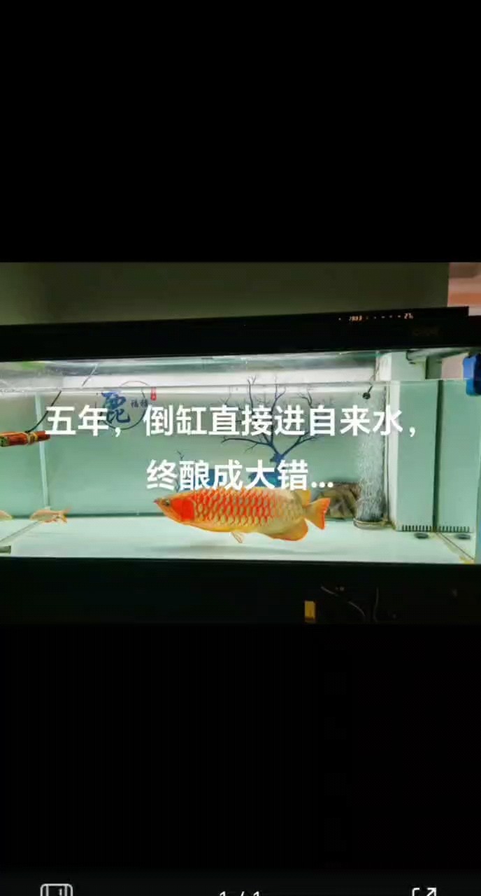 紀念…