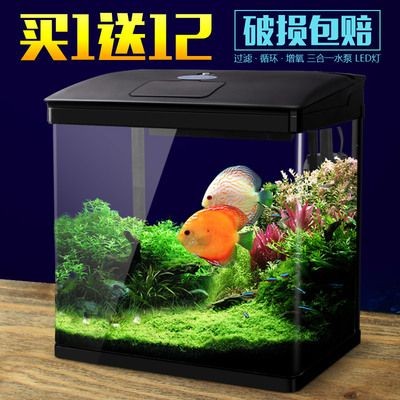 1.2米魚(yú)缸養(yǎng)幾條大型魚(yú)合適：1.2米的魚(yú)缸適合養(yǎng)哪些大型魚(yú)