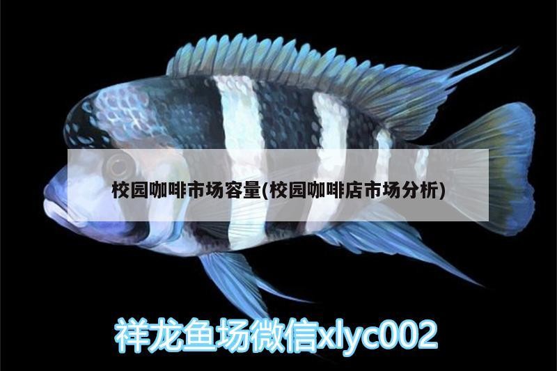 校園咖啡市場容量(校園咖啡店市場分析) 校園咖啡市場容量(校園咖啡店市場分析) 馬來西亞咖啡