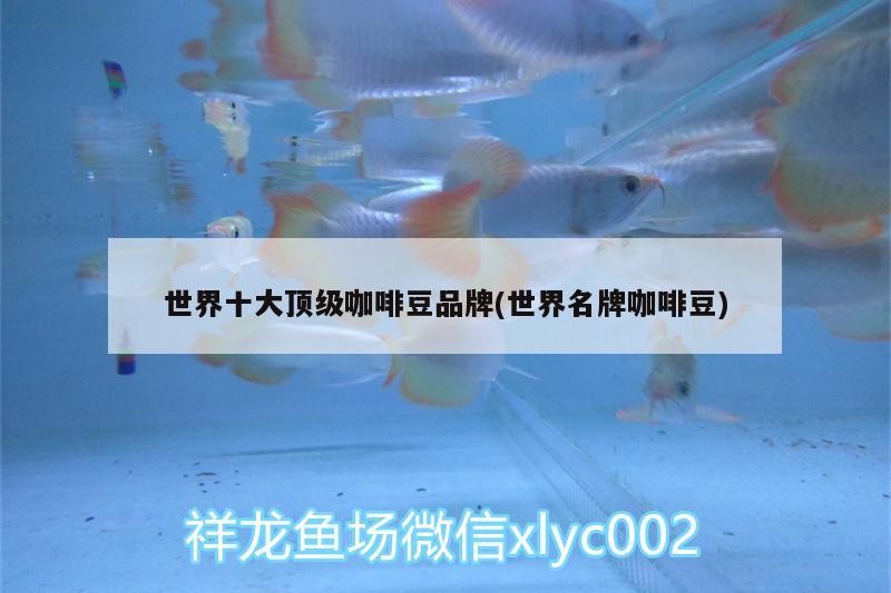 世界十大頂級(jí)咖啡豆品牌(世界名牌咖啡豆)
