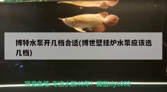 博特水泵開幾檔合適(博世壁掛爐水泵應該選幾檔)