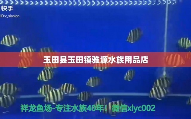 紅魚不能亂掛的原因：紅魚不能亂掛的原因是什么 紅魚不能亂掛的原因：紅魚不能亂掛的原因是什么 龍魚百科 第1張