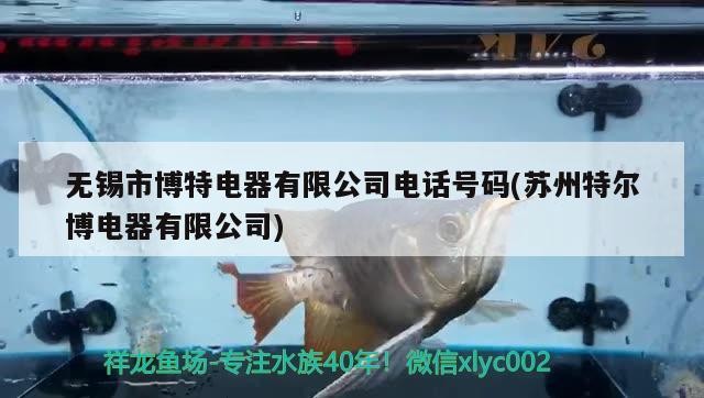 無錫市博特電器有限公司電話號碼(蘇州特爾博電器有限公司)