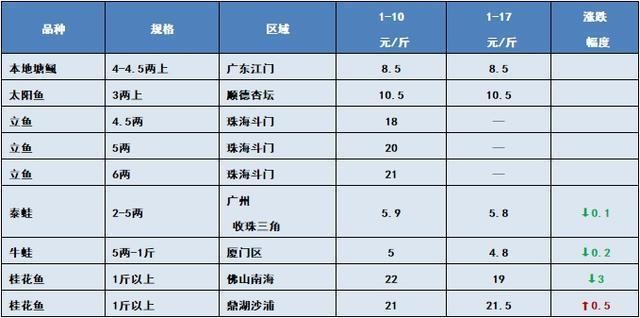 紅龍與金龍魚區別：紅龍與金龍魚區別在哪