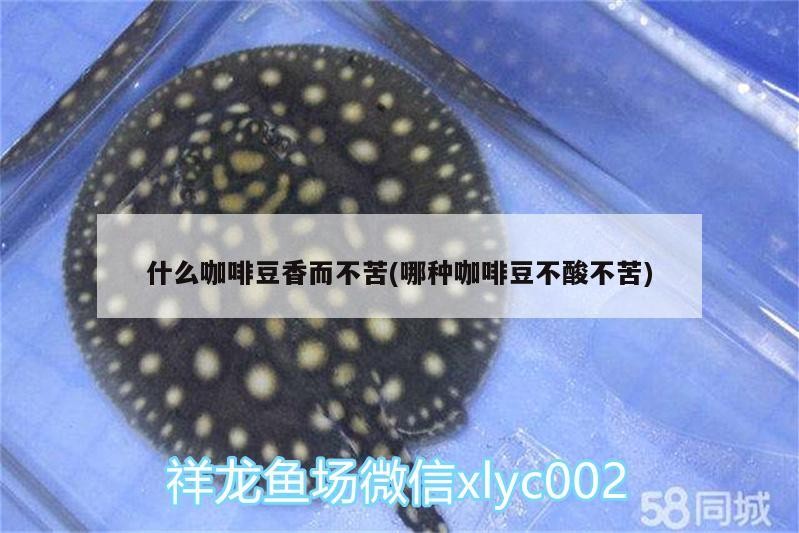什么咖啡豆香而不苦(哪種咖啡豆不酸不苦)