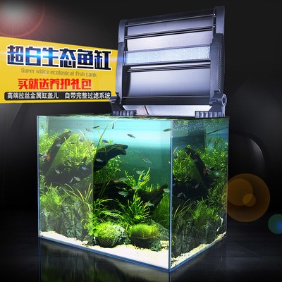 紅龍魚40公分還沒紅正常么：紅龍魚40長到60需要多久