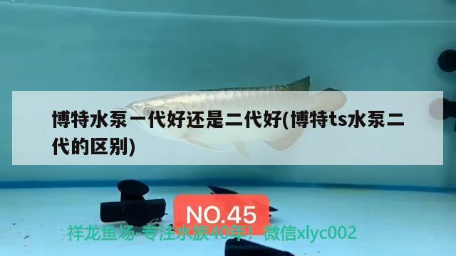 博特水泵一代好還是二代好(博特ts水泵二代的區別)