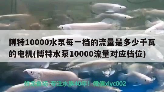 博特10000水泵每一檔的流量是多少千瓦的電機(博特水泵10000流量對應檔位)