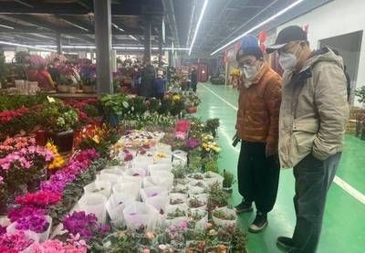 固安城東花卉市場(chǎng)觀賞魚出售（固安城東花卉市場(chǎng)是一個(gè)集花卉、觀賞魚、觀賞魚的養(yǎng)護(hù)秘籍） 固安城東花卉市場(chǎng)觀賞魚出售（固安城東花卉市場(chǎng)是一個(gè)集花卉、觀賞魚、觀賞魚的養(yǎng)護(hù)秘籍） iwish愛唯希品牌魚缸 第3張