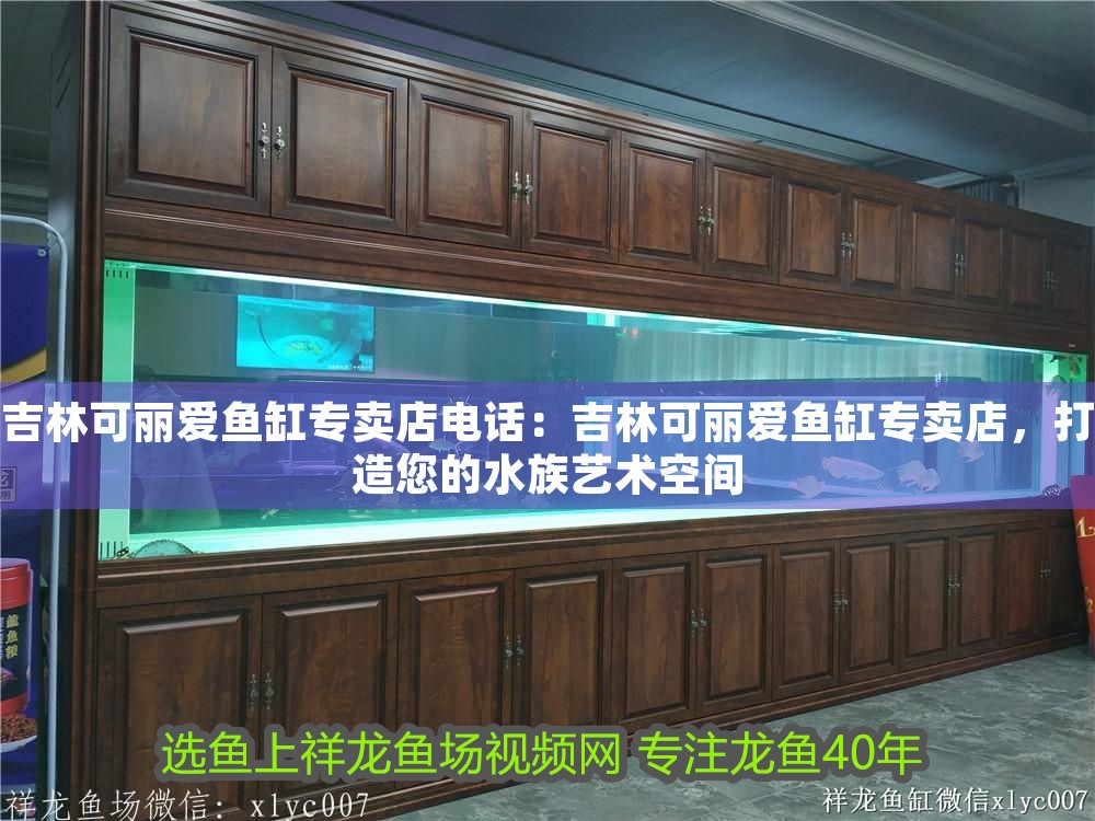 吉林可麗愛魚缸專賣店電話：吉林可麗愛魚缸專賣店，打造您的水族藝術(shù)空間