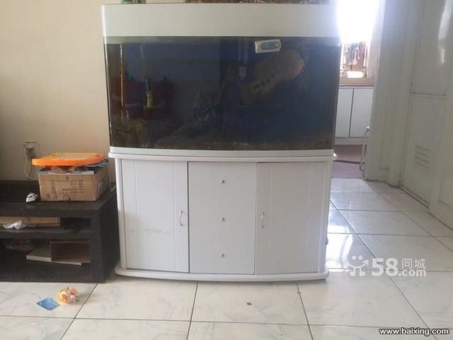 烏魯木齊魚缸定做定制，烏魯木齊幾家提供魚缸定制服務的店鋪