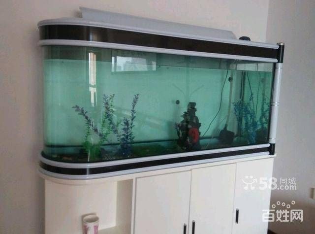 烏魯木齊魚缸定做定制，烏魯木齊幾家提供魚缸定制服務的店鋪