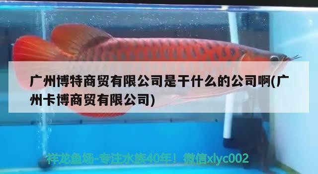 廣州博特商貿有限公司是干什么的公司啊(廣州卡博商貿有限公司) 廣州博特商貿有限公司是干什么的公司啊(廣州卡博商貿有限公司) 博特水族 第1張