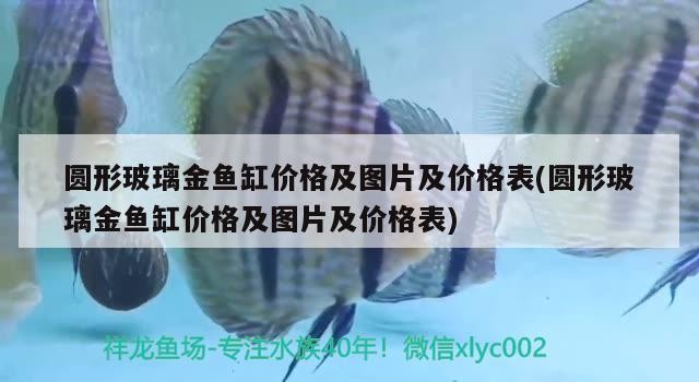 圓形玻璃金魚缸價格及圖片及價格表(圓形玻璃金魚缸價格及圖片及價格表)