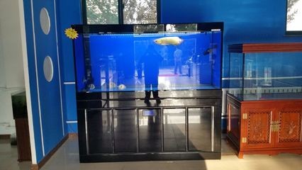 1號魚缸售后服務電話：1號水族魚缸售后服務電話 1號魚缸售后服務電話：1號水族魚缸售后服務電話 魚缸百科 第3張
