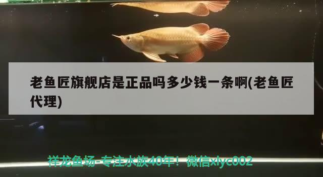 老魚匠旗艦店是正品嗎多少錢一條啊(老魚匠代理) 老魚匠旗艦店是正品嗎多少錢一條啊(老魚匠代理) 老魚匠