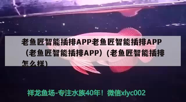 老魚匠智能插排APP老魚匠智能插排APP（老魚匠智能插排APP）(老魚匠智能插排怎么樣) 老魚匠智能插排APP老魚匠智能插排APP（老魚匠智能插排APP）(老魚匠智能插排怎么樣) 老魚匠