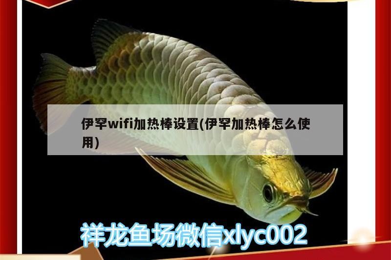 伊罕wifi加熱棒設(shè)置(伊罕加熱棒怎么使用) 伊罕wifi加熱棒設(shè)置(伊罕加熱棒怎么使用) 伊罕水族