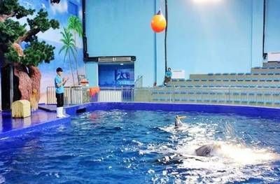 邢臺(tái)水族館vs祥龍魚場(chǎng)（邢臺(tái)水族館和祥龍魚場(chǎng)是一個(gè)大型的地標(biāo)性建筑預(yù)計(jì)將成為網(wǎng)紅打卡地）