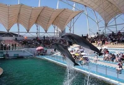 邢臺(tái)水族館vs祥龍魚場(chǎng)（邢臺(tái)水族館和祥龍魚場(chǎng)是一個(gè)大型的地標(biāo)性建筑預(yù)計(jì)將成為網(wǎng)紅打卡地）