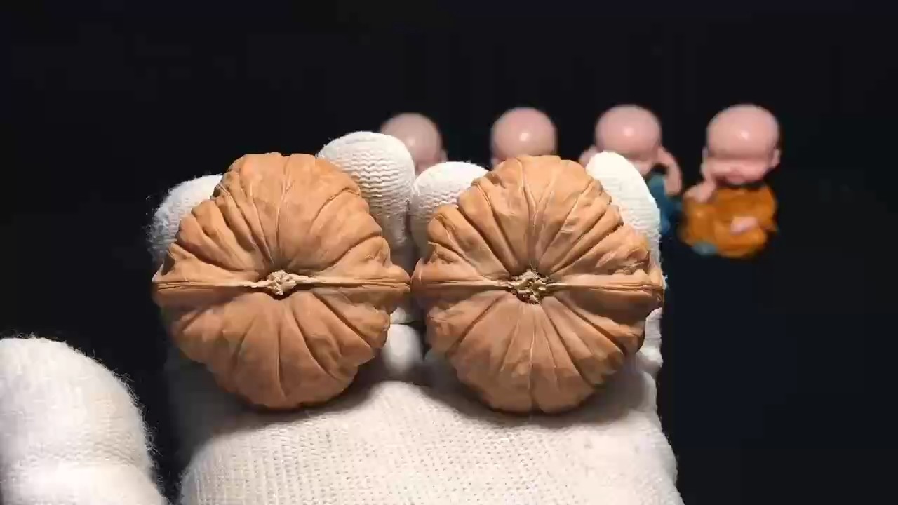 最美南瓜 最美南瓜 龍魚論壇