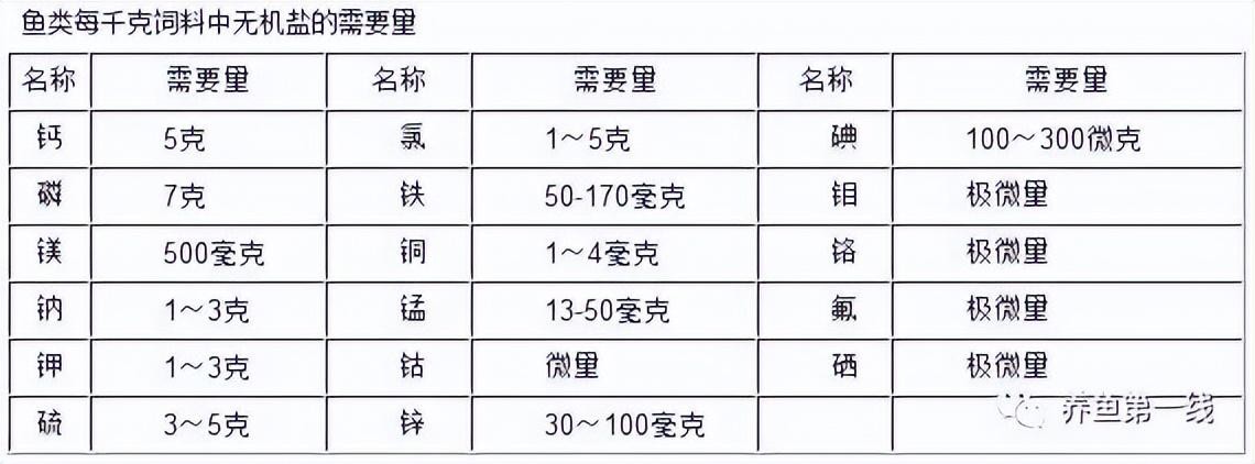 龍魚背上黑霉多久會自愈，如何判斷龍魚背上黑霉是否自愈？